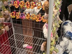 -尹珍珠·韩式无限烤肉(回龙湾店)