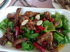 -天羽烤乳鸽店(财大家属院店)