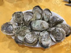 -蚝专家(北滘店)
