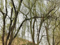 -荣祥广场