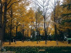 -山东大学(趵突泉校区)