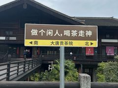 -大唐贡茶院