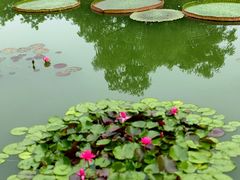 -国家植物园南园