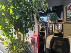 -天行健身＆天行拳馆跆拳道·格斗TXGYM