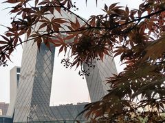 -中央广播电视总台(光华路办公区)