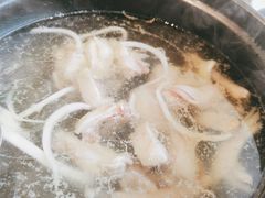 -东椰·海南椰子鸡火锅(朝阳门店)