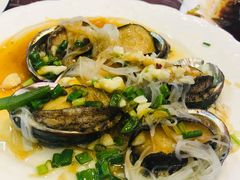 鲍鱼-金海湾海鲜排档(朱家尖店)