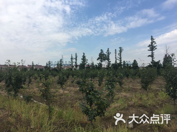 垂珠园农庄(长兴岛店)图片 - 第2张