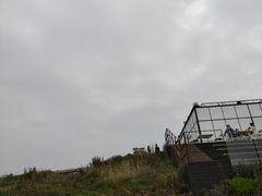 -Cafe Aewol Monsant