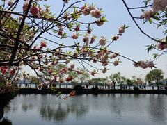 -无锡蠡湖国家湿地公园-蠡园