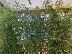 -谷语中餐厅