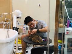 -momokira米努特·德文卷毛猫·棉花面纱犬