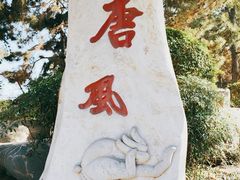 -中国唐苑