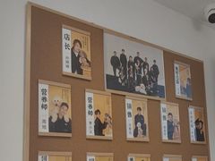 -翊宠yipet猫狗购宠庄园犬舍•猫舍