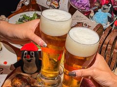 -布拉格餐厅· 中欧捷克菜(全国首店)