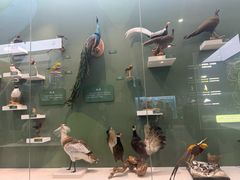 -国家自然博物馆