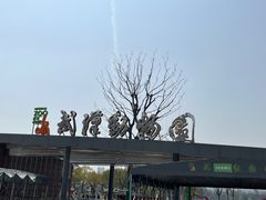 -武汉动物园