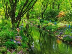 -上海共青森林公园