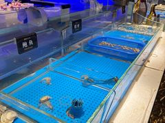 -加餐海鲜自助(宝龙一城店)