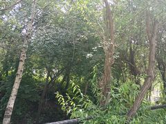 -官滩沟风景区