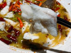 -九毛九西北菜(大东海店)