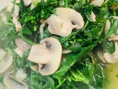 蘑菇荠菜-旺山·浪头人家