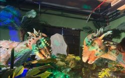 -恐龙探索乐园(磁器口店)