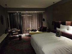 -南京禄口机场雅高铂尔曼大酒店