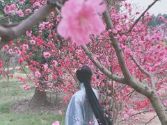 -秀丽东方