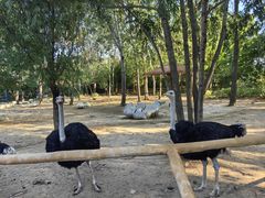 -大连森林动物园