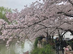 -得意楼蒸菜馆