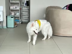 -怪兽屋·羊驼·猫咖·狗咖(俊华广场店)