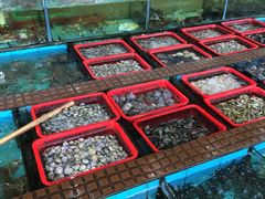 -景好海鲜餐厅(大鹏必选旅游店)