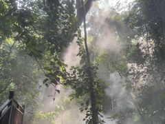 -西双版纳原始森林公园