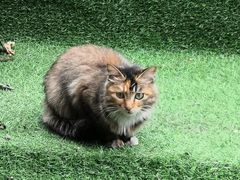 -小象钓虾·营地烧烤(洛溪店)