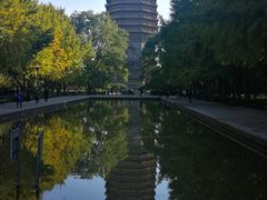 -玲珑塔公园