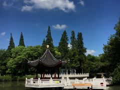 景点-汇龙潭