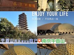 -牛首山文化旅游区