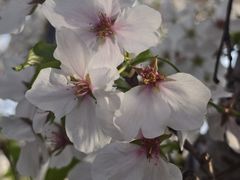 -蒋家桥饺面店(奥邦店)