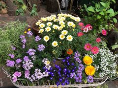 -三鹰之森吉卜力美术馆