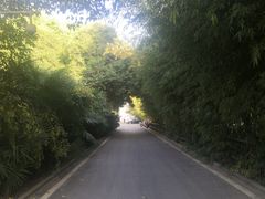 -河南省黄河迎宾馆