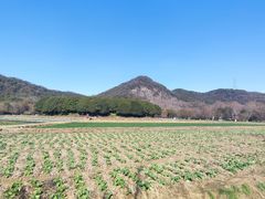 -八卦田遗址公园