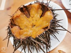 -海胆小馆(东北水饺·春柳店)