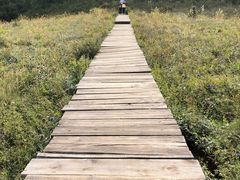 -白草畔自然风景区