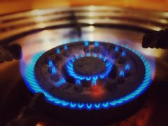 -红满天红焖羊排(大西菜行店)