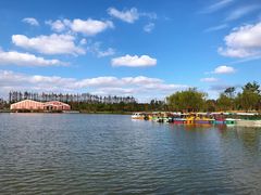 -上海长兴岛郊野公园