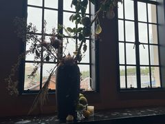 -滇野云南野生菌餐厅(陕西南路店)