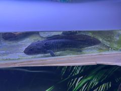 -梦幻海洋王国(吾悦广场张家港店)
