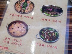 -鸭嘴鱼