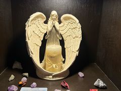 -雪灵魔法世界SHELLY’S TAROT(大良桂畔里店)